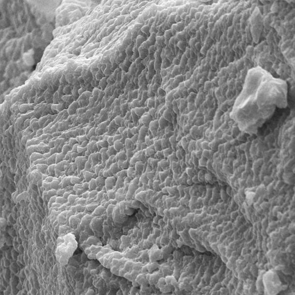 Soft Materials & Polymers
